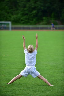 爱游戏体育（AYX）官方APP下载-高校体育专业课程体系动态调整研究，全国普通高校体育教育专业课程方案